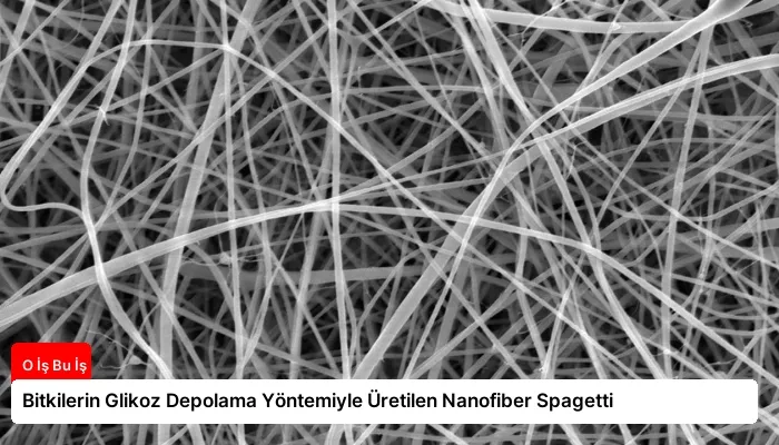 Bitkilerin Glikoz Depolama Yöntemiyle Üretilen Nanofiber Spagetti