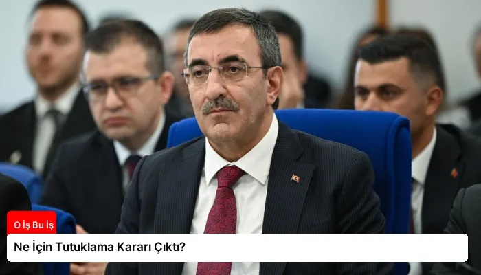 Ne İçin Tutuklama Kararı Çıktı?