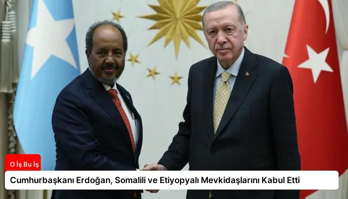 Cumhurbaşkanı Erdoğan, Somalili ve Etiyopyalı Mevkidaşlarını Kabul Etti