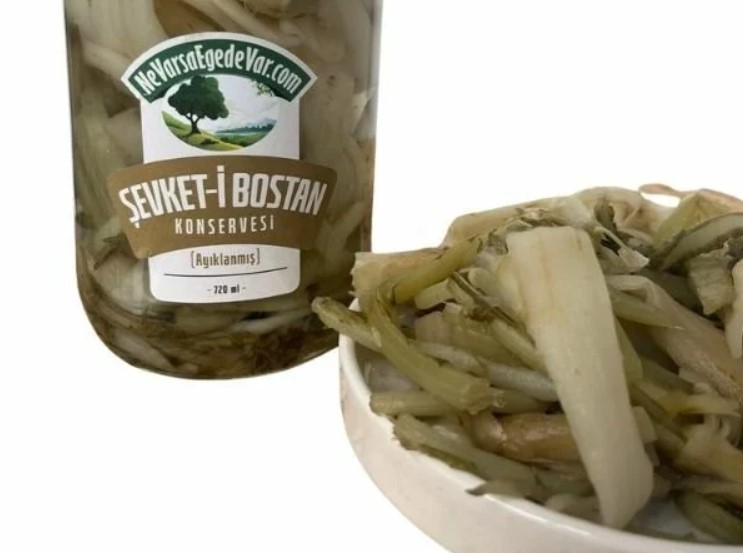 Ege’nin Lezzet Hazinesi Şevketi Bostan ve Faydaları