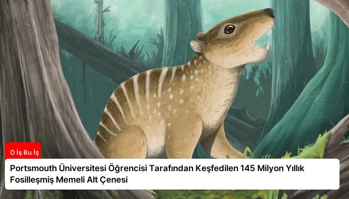 Portsmouth Üniversitesi Öğrencisi Tarafından Keşfedilen 145 Milyon Yıllık Fosilleşmiş Memeli Alt Çenesi