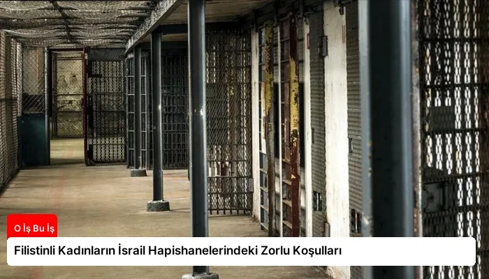 Filistinli Kadınların İsrail Hapishanelerindeki Zorlu Koşulları