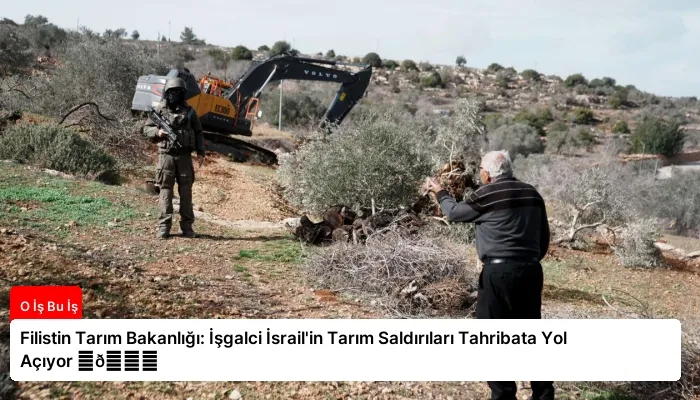 Filistin Tarım Bakanlığı: İşgalci İsrail’in Tarım Saldırıları Tahribata Yol Açıyor ⏬👇