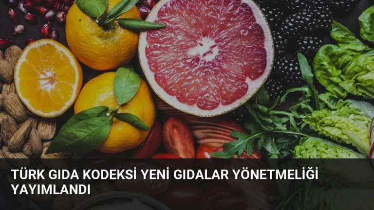Türk Gıda Kodeksi Yeni Gıdalar Yönetmeliği Yayımlandı