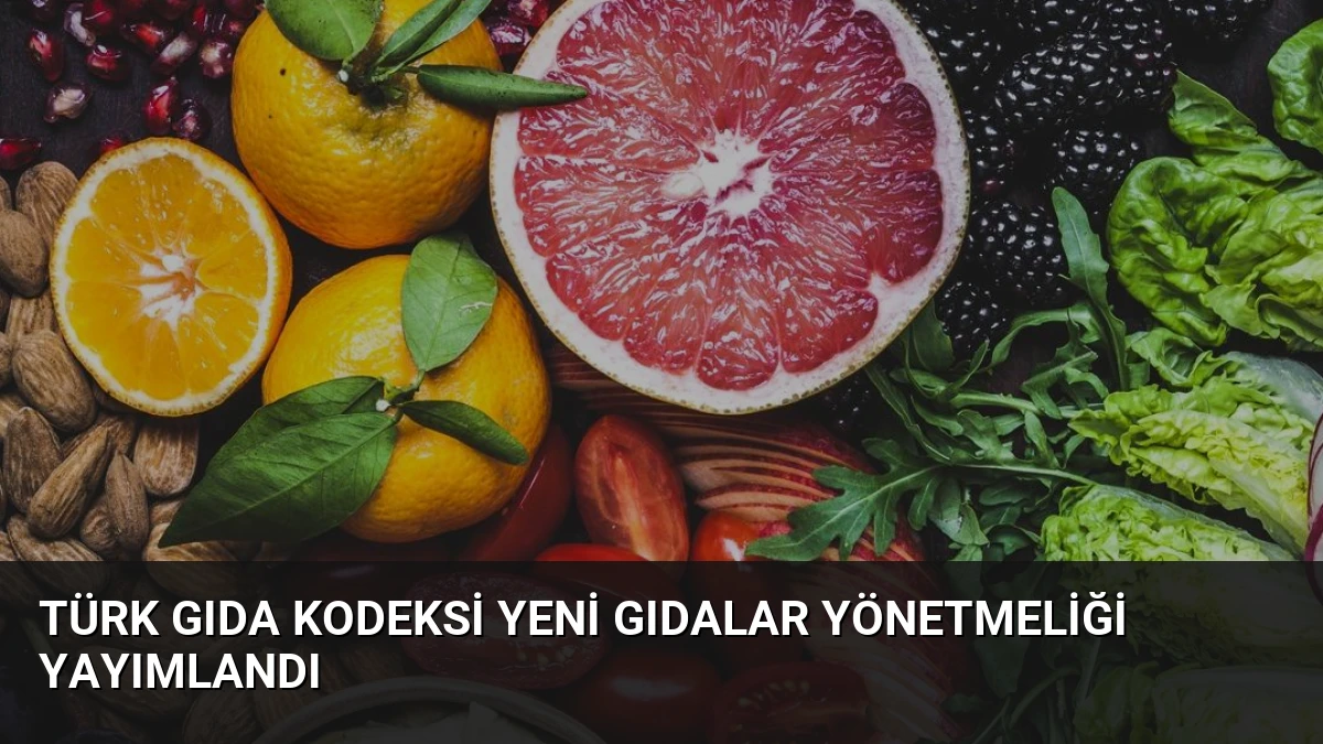 Türk Gıda Kodeksi Yeni Gıdalar Yönetmeliği Yayımlandı