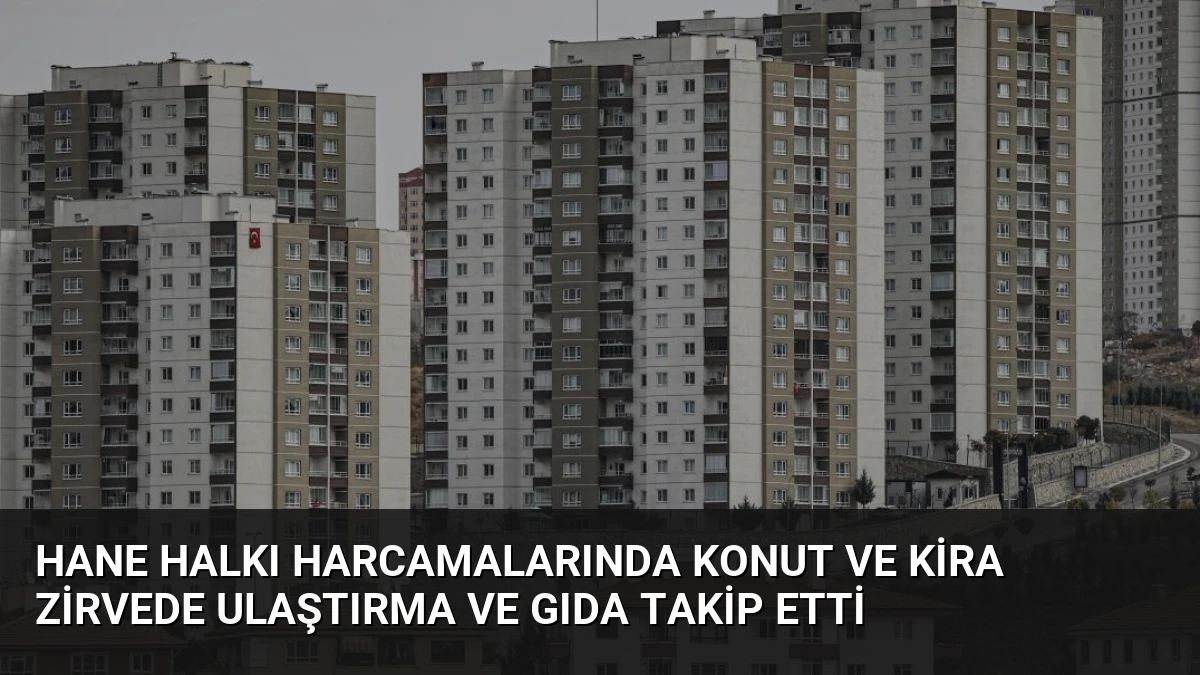 Hane Halkı Harcamalarında Konut ve Kira Zirvede Ulaştırma ve Gıda Takip Etti