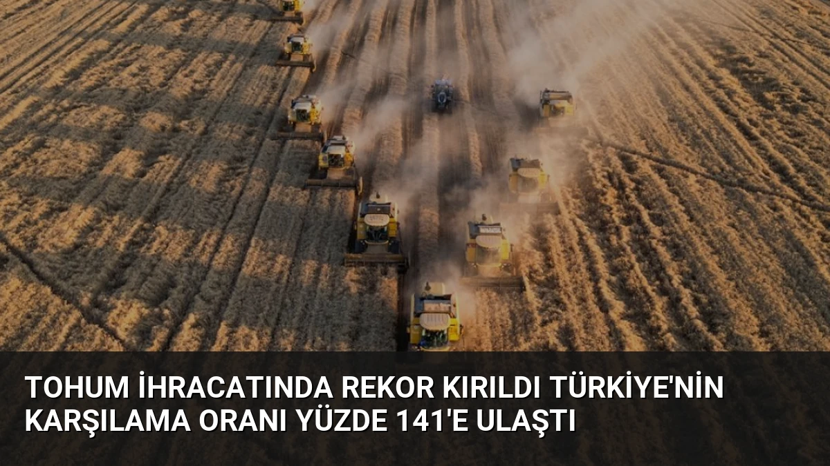 Tohum İhracatında Rekor Kırıldı Türkiye’nin Karşılama Oranı Yüzde 141’e Ulaştı