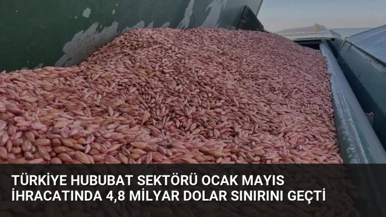 Türkiye Hububat Sektörü Ocak Mayıs İhracatında 4,8 Milyar Dolar Sınırını Geçti
