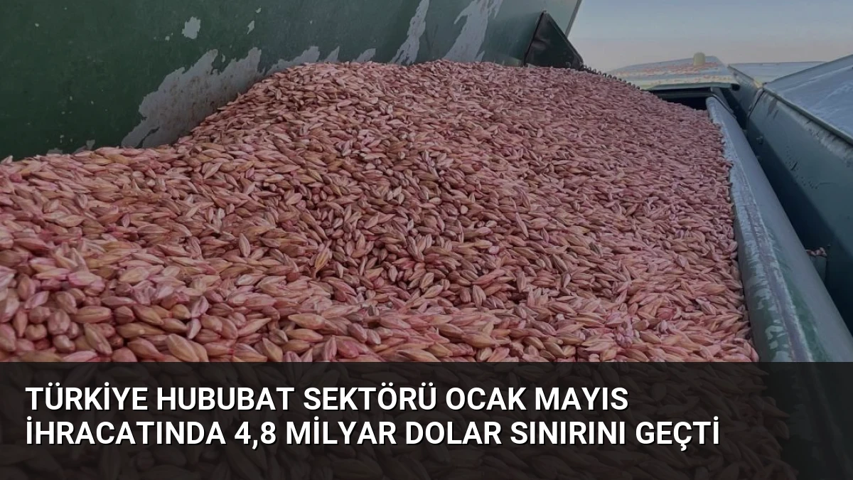 Türkiye Hububat Sektörü Ocak Mayıs İhracatında 4,8 Milyar Dolar Sınırını Geçti