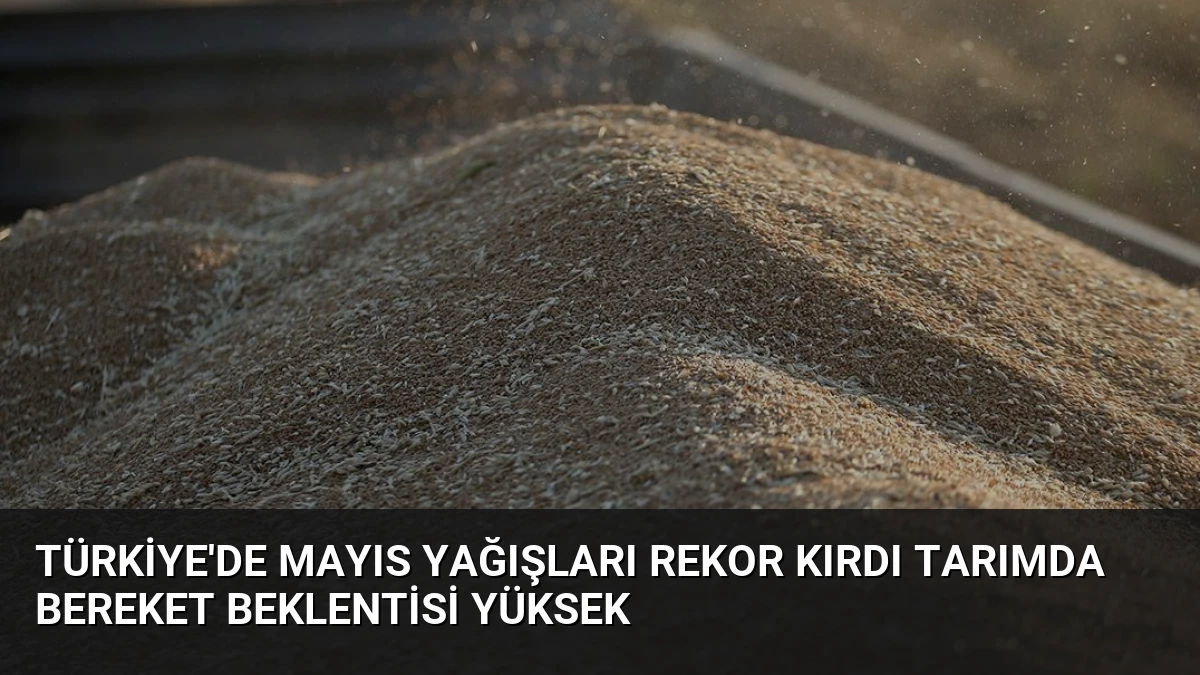 Türkiye’de Mayıs Yağışları Rekor Kırdı Tarımda Bereket Beklentisi Yüksek