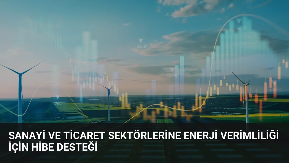 Sanayi ve Ticaret Sektörlerine Enerji Verimliliği İçin Hibe Desteği