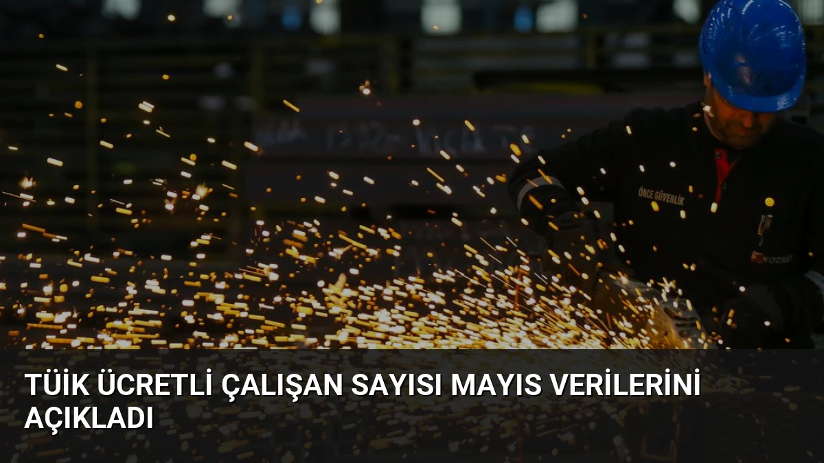 TÜİK Ücretli Çalışan Sayısı Mayıs Verilerini Açıkladı