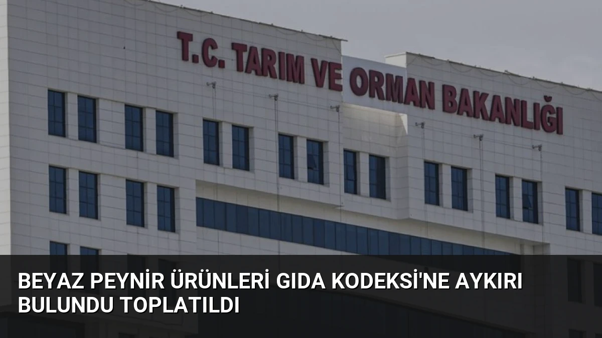 Beyaz Peynir Ürünleri Gıda Kodeksi’ne Aykırı Bulundu Toplatıldı