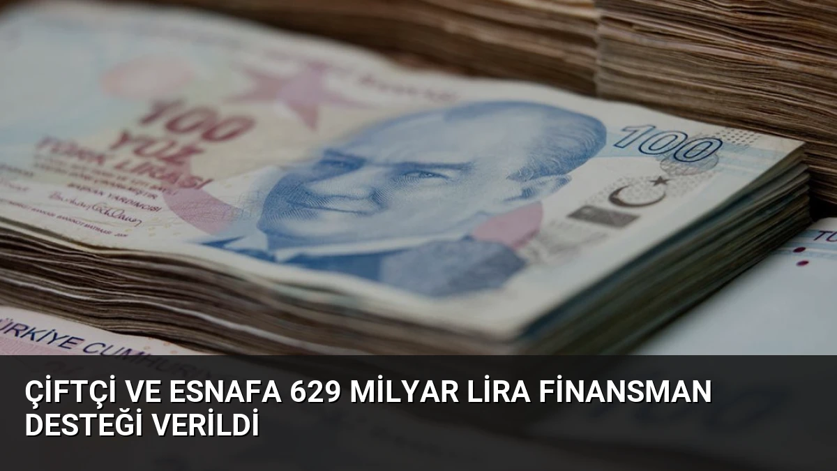 Çiftçi ve esnafa 629 milyar lira finansman desteği verildi