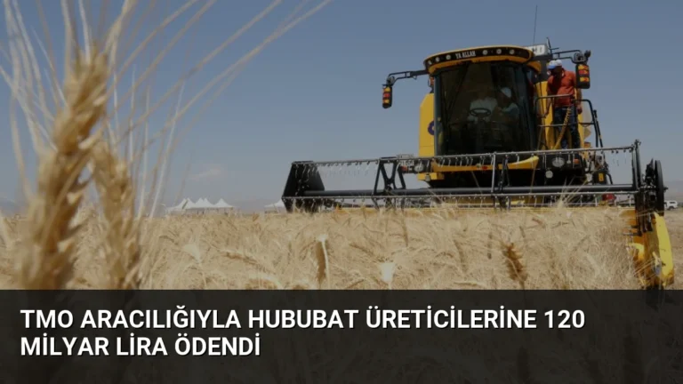 TMO Aracılığıyla Hububat Üreticilerine 120 Milyar Lira Ödendi