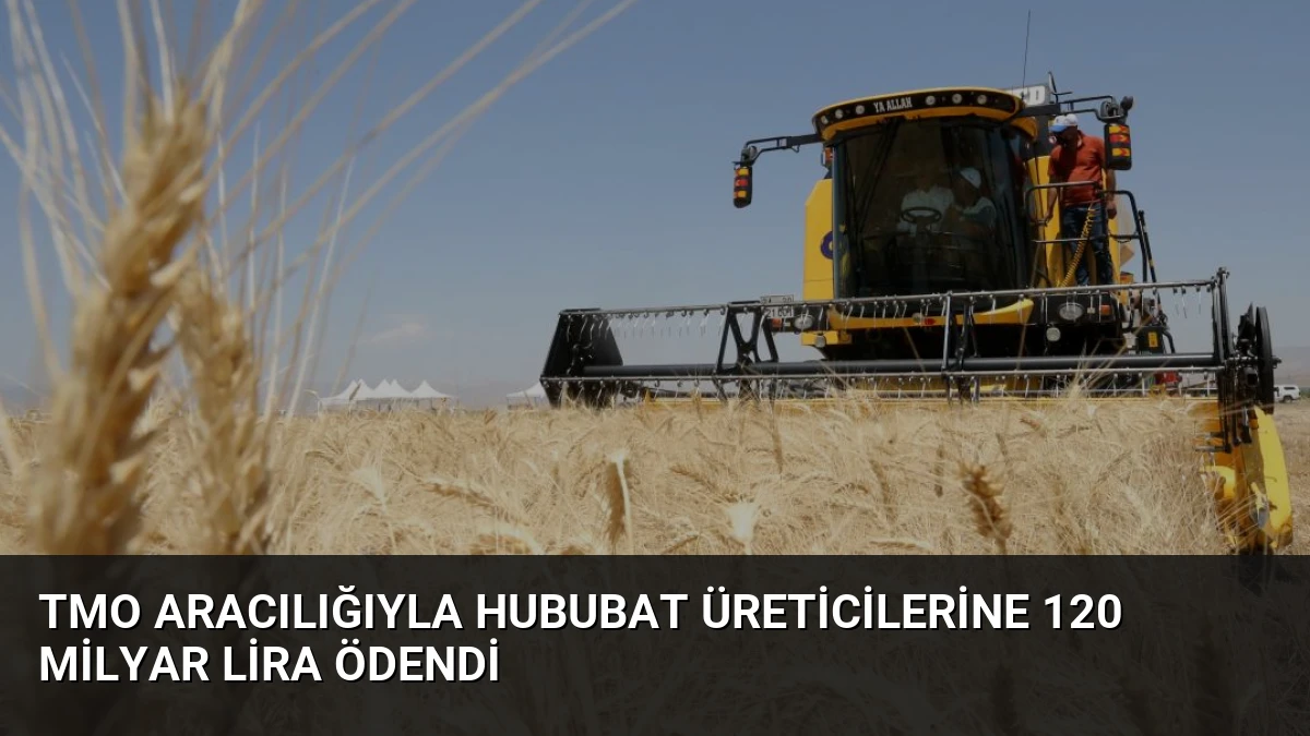 TMO Aracılığıyla Hububat Üreticilerine 120 Milyar Lira Ödendi