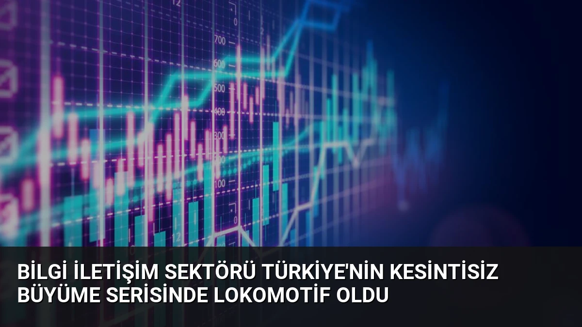 Bilgi İletişim Sektörü Türkiye’nin Kesintisiz Büyüme Serisinde Lokomotif Oldu