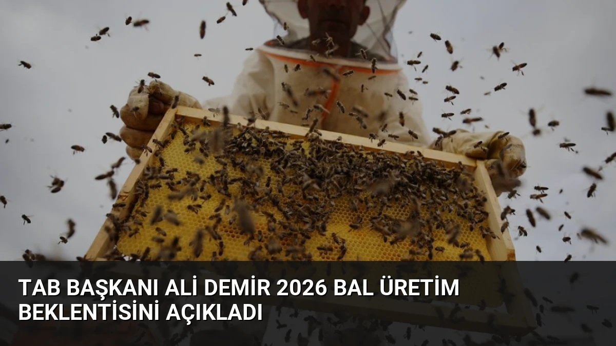 TAB Başkanı Ali Demir 2026 Bal Üretim Beklentisini Açıkladı