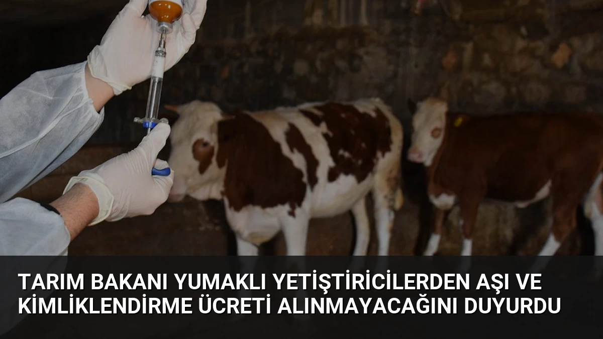 Tarım Bakanı Yumaklı Yetiştiricilerden Aşı ve Kimliklendirme Ücreti Alınmayacağını Duyurdu