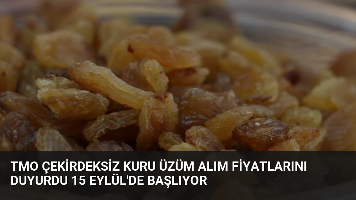 TMO Çekirdeksiz Kuru Üzüm Alım Fiyatlarını Duyurdu 15 Eylül’de Başlıyor