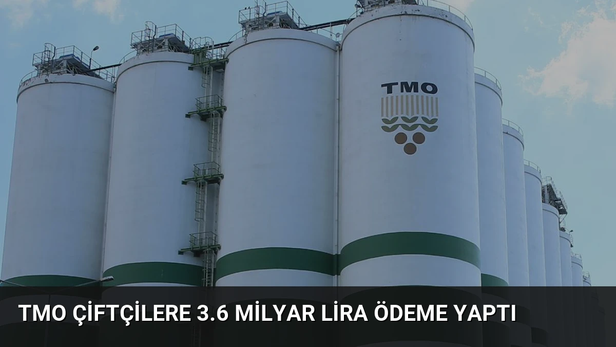 TMO Çiftçilere 3.6 Milyar Lira Ödeme Yaptı