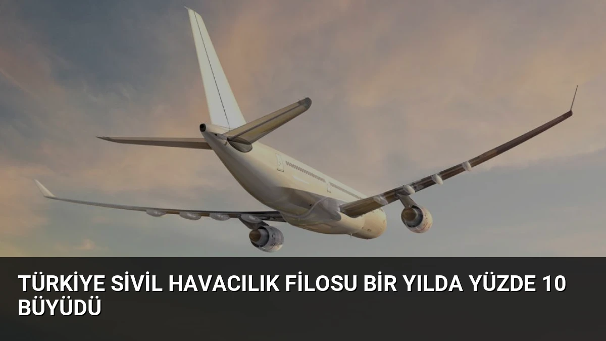 Türkiye Sivil Havacılık Filosu Bir Yılda Yüzde 10 Büyüdü