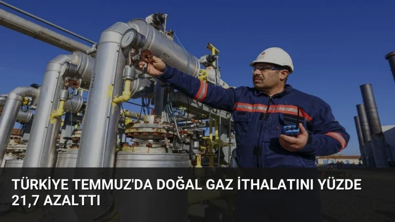 Türkiye Temmuz’da Doğal Gaz İthalatını Yüzde 21,7 Azalttı