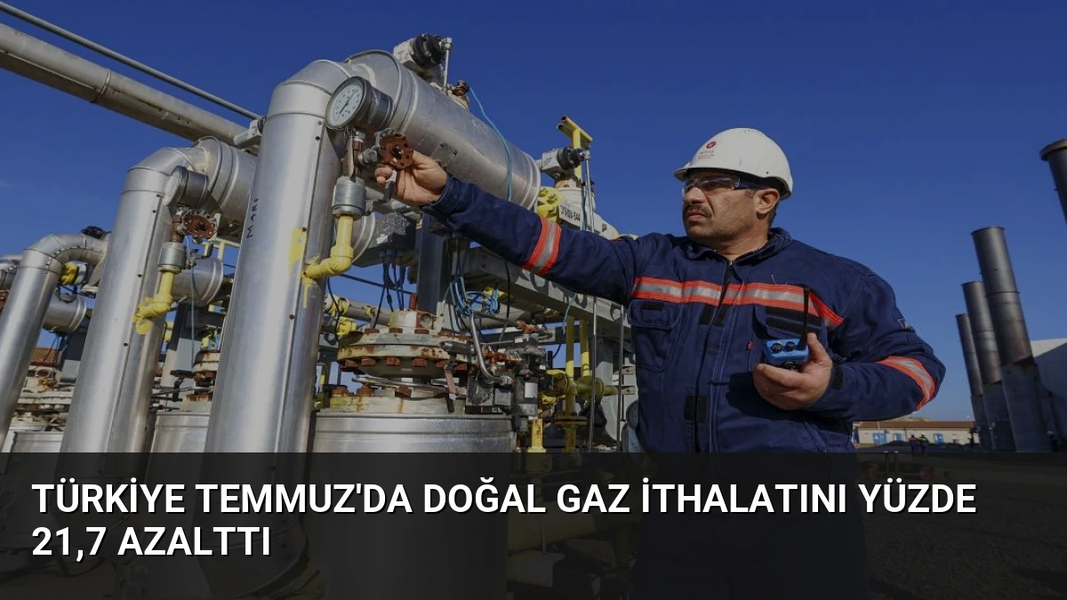 Türkiye Temmuz’da Doğal Gaz İthalatını Yüzde 21,7 Azalttı
