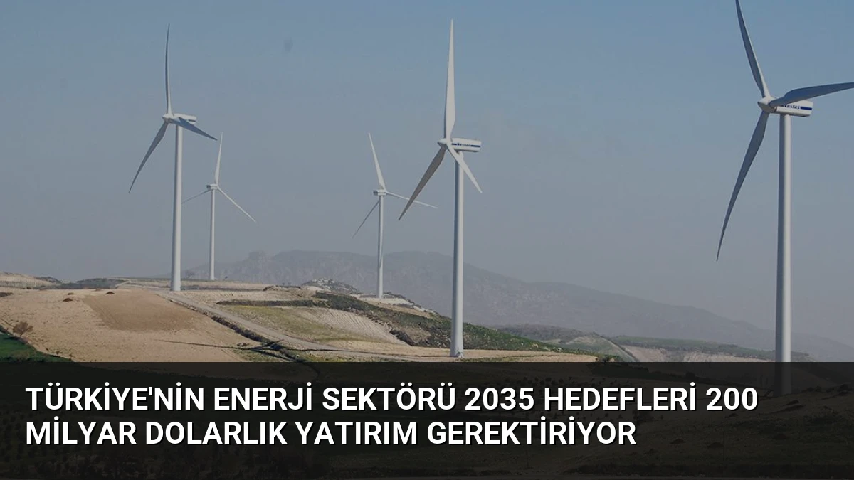 Türkiye’nin Enerji Sektörü 2035 Hedefleri 200 Milyar Dolarlık Yatırım Gerektiriyor