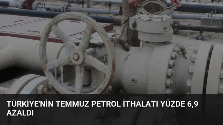 Türkiye’nin Temmuz Petrol İthalatı Yüzde 6,9 Azaldı