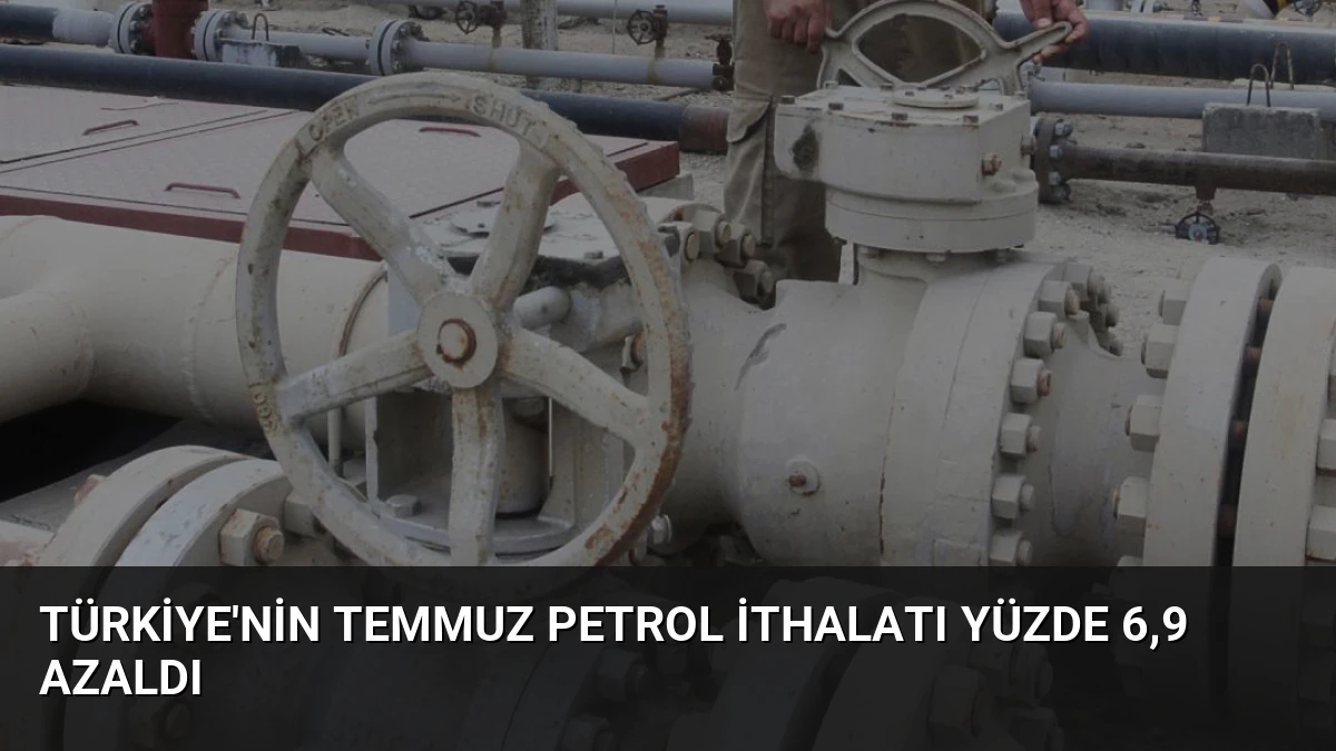 Türkiye’nin Temmuz Petrol İthalatı Yüzde 6,9 Azaldı