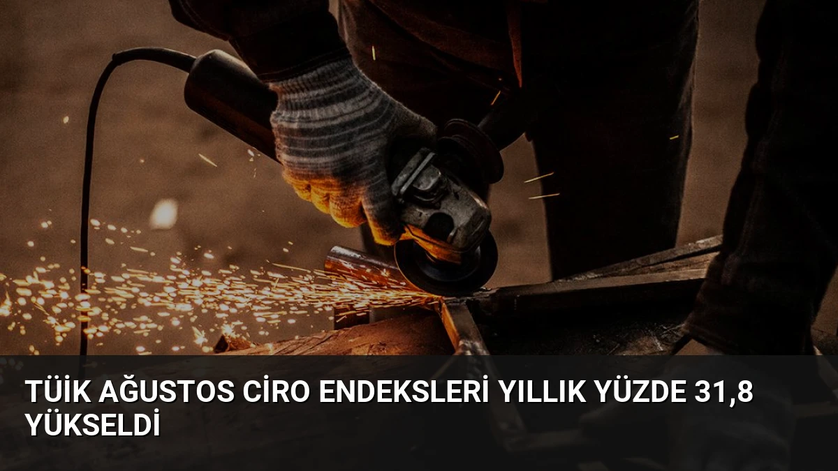 TÜİK Ağustos Ciro Endeksleri Yıllık Yüzde 31,8 Yükseldi