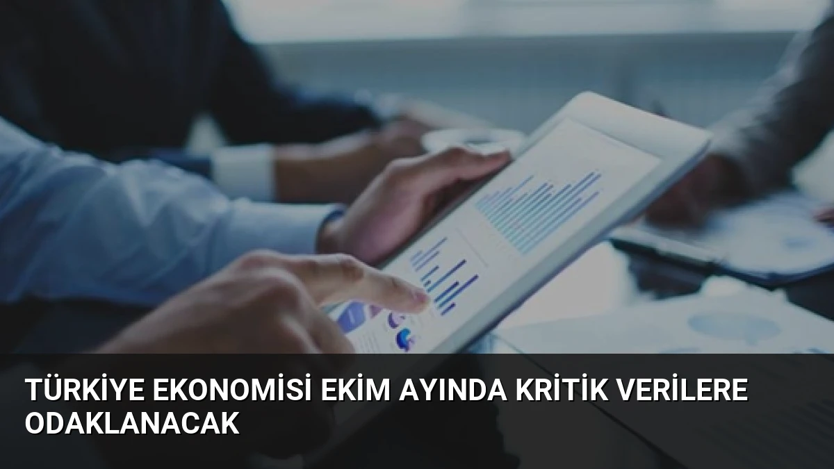 Türkiye Ekonomisi Ekim Ayında Kritik Verilere Odaklanacak