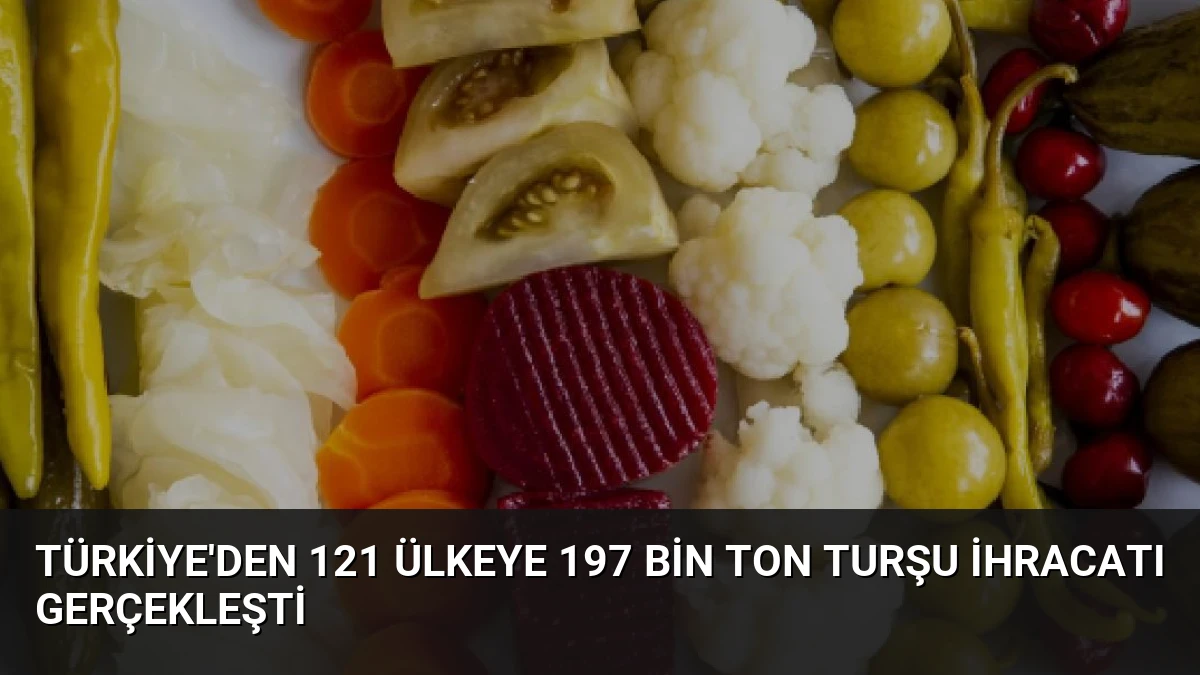 Türkiye’den 121 Ülkeye 197 Bin Ton Turşu İhracatı Gerçekleşti